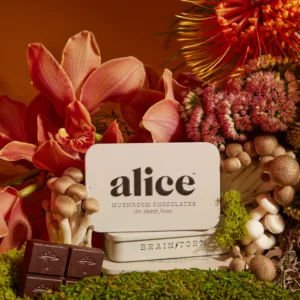 Alice Mushrooms | Alice Mushroom Chocolates
