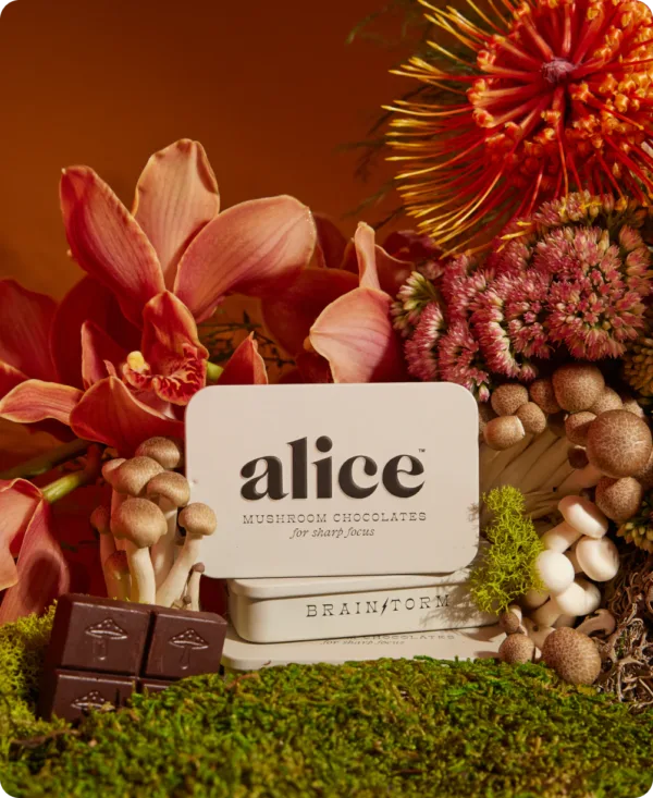 Alice Mushrooms | Alice Mushroom Chocolates