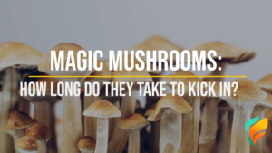 How Long Does It Take For Shrooms To Kick In, How Long Do Shrooms Take To Kick In