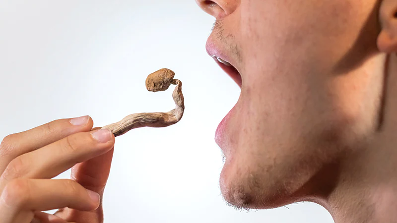 Can You Smoke Shrooms, How To Take Shrooms