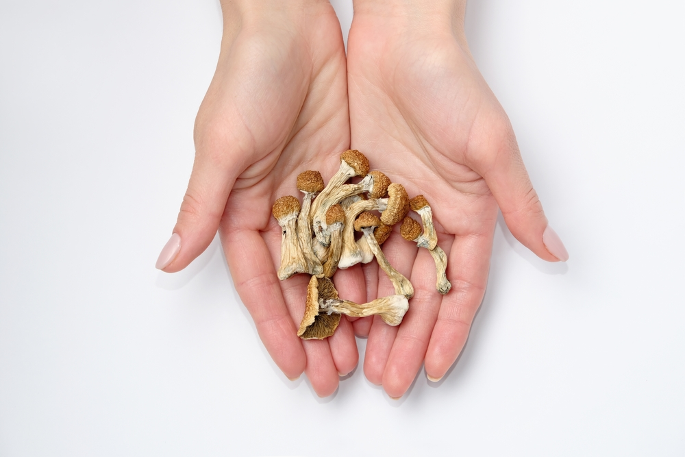 Can You Smoke Shrooms, How To Take Shrooms