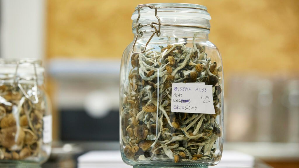 Where to find psychedelics in Las Vegas