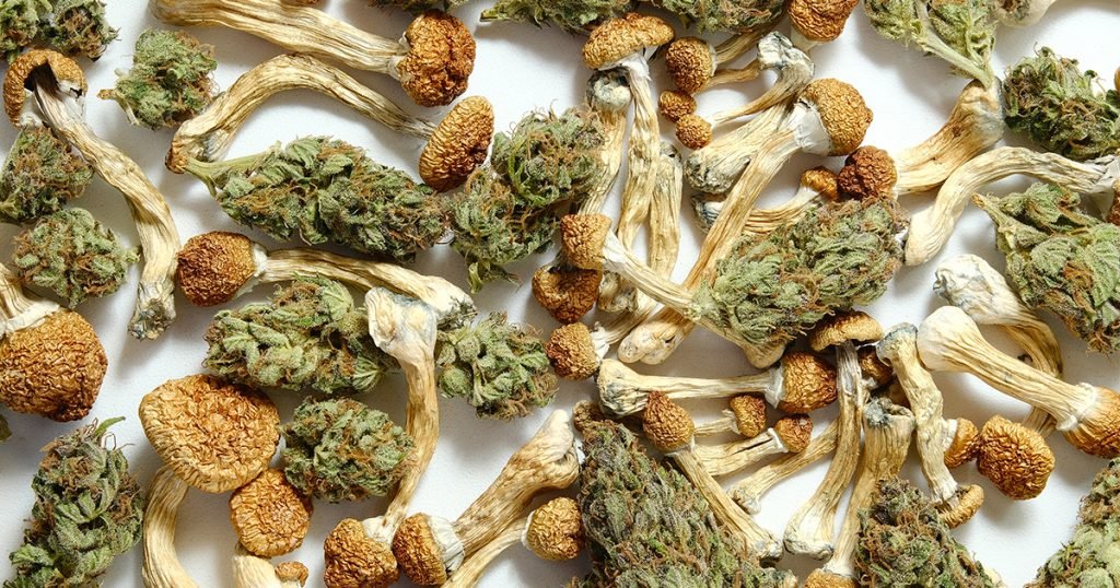 Magic Mushroom Delivery Vegas