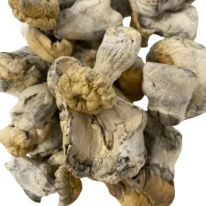 Albino Hillbilly